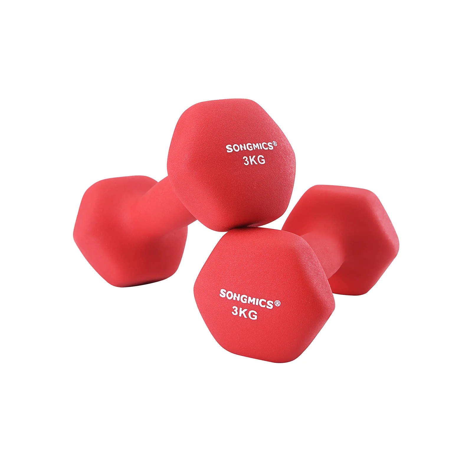 SONGMICS Set of 2 Dumbbells