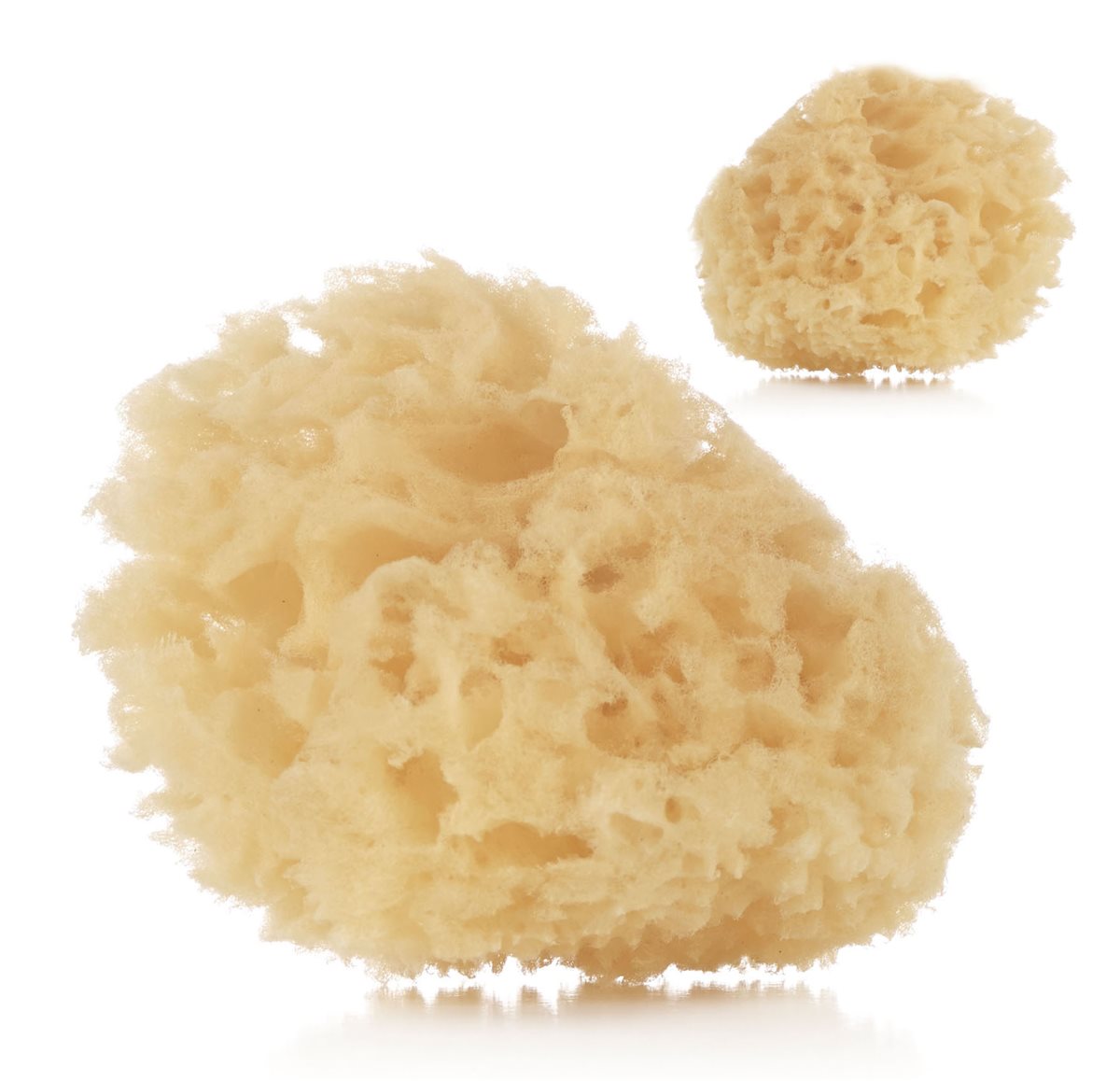 Jané Natural Sponges - (twin pack)