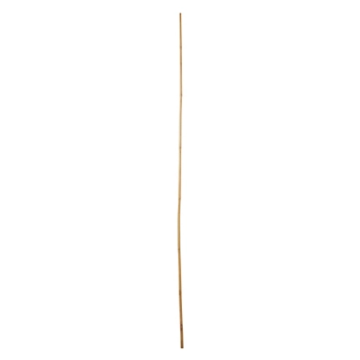 Verve Bamboo Cane 180cm, Pack Of 10