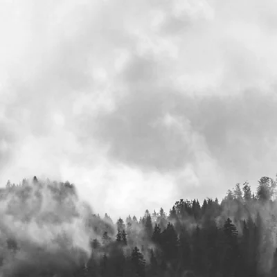 Splashwall Matt Black & White Misty Woods Acrylic Splashback, (H)600mm (W)2440mm (T)4mm