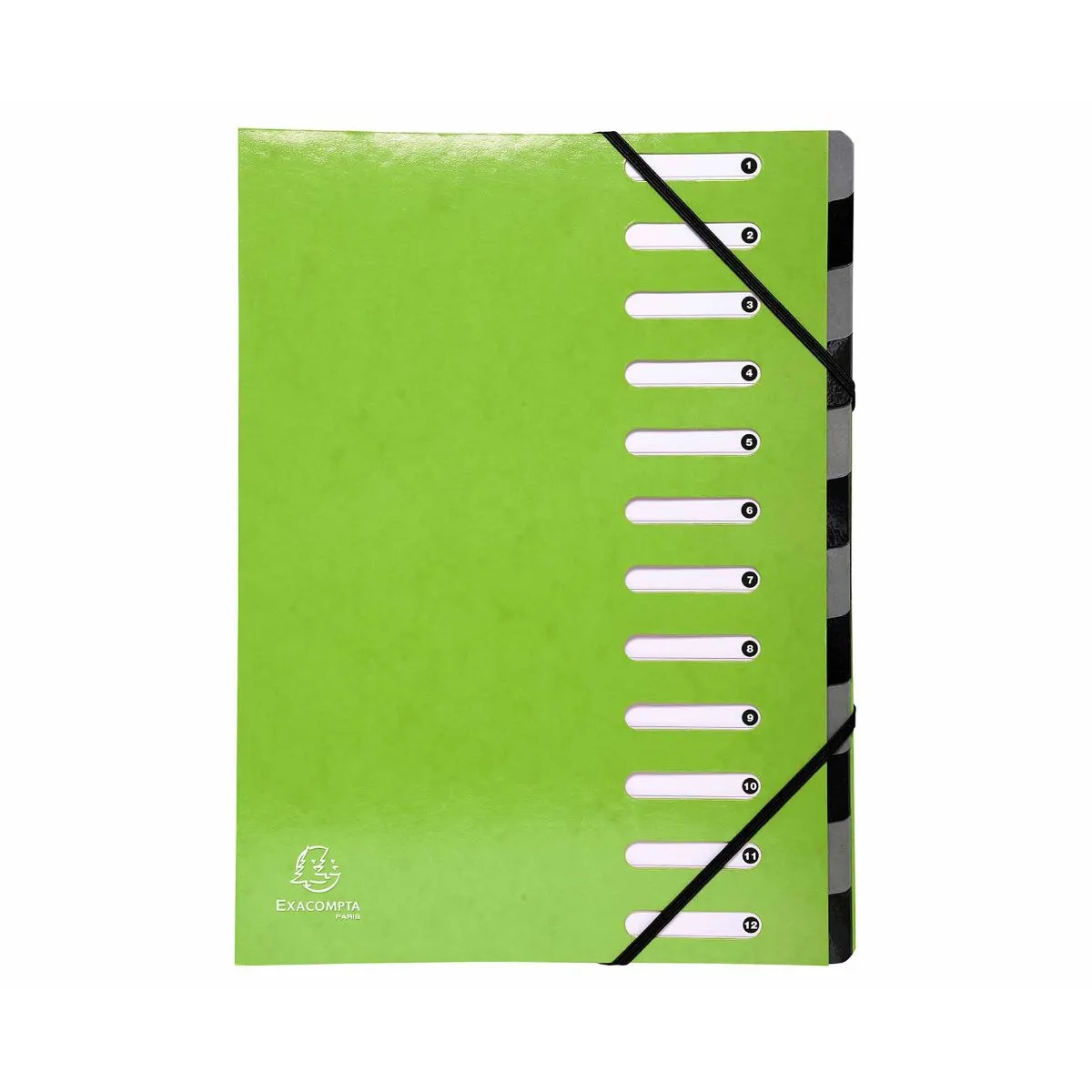 Exacompta Exacompta Iderama Multi File 12 Part A4 600gsm Pack of 6, Green | Filing & Folders > Expanding Files > Expanding Files