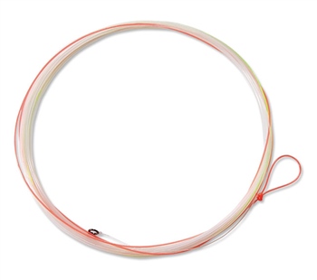 An Illusive Progress by Dysmorphic CD Album