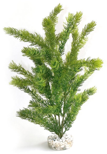 Sydeco Natural Sea Pearl Maxi Aquarium Plant - 50cm