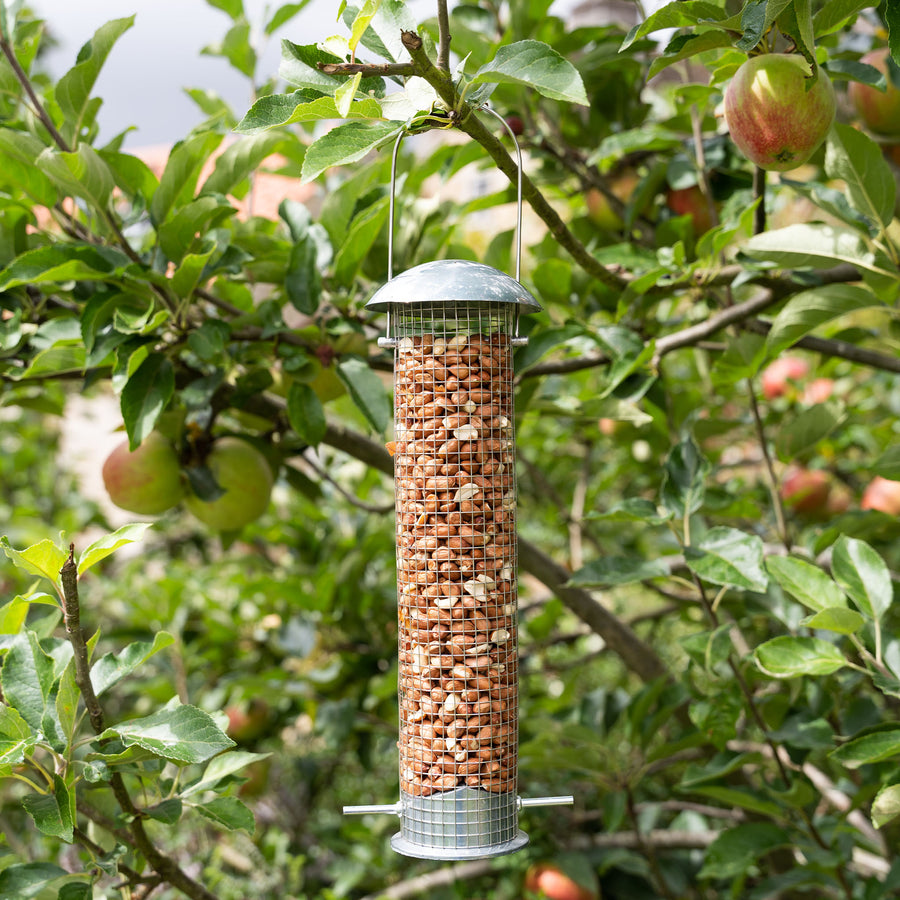  Heavy Duty Large Peanut Feeder