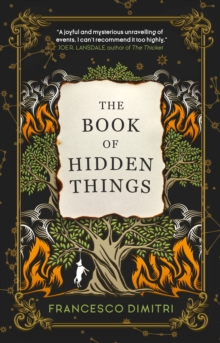 Titan Books Ltd The Book of Hidden Things  Paperback  Francesco Dimitri