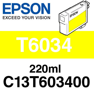 Epson T6034 - print cartridge