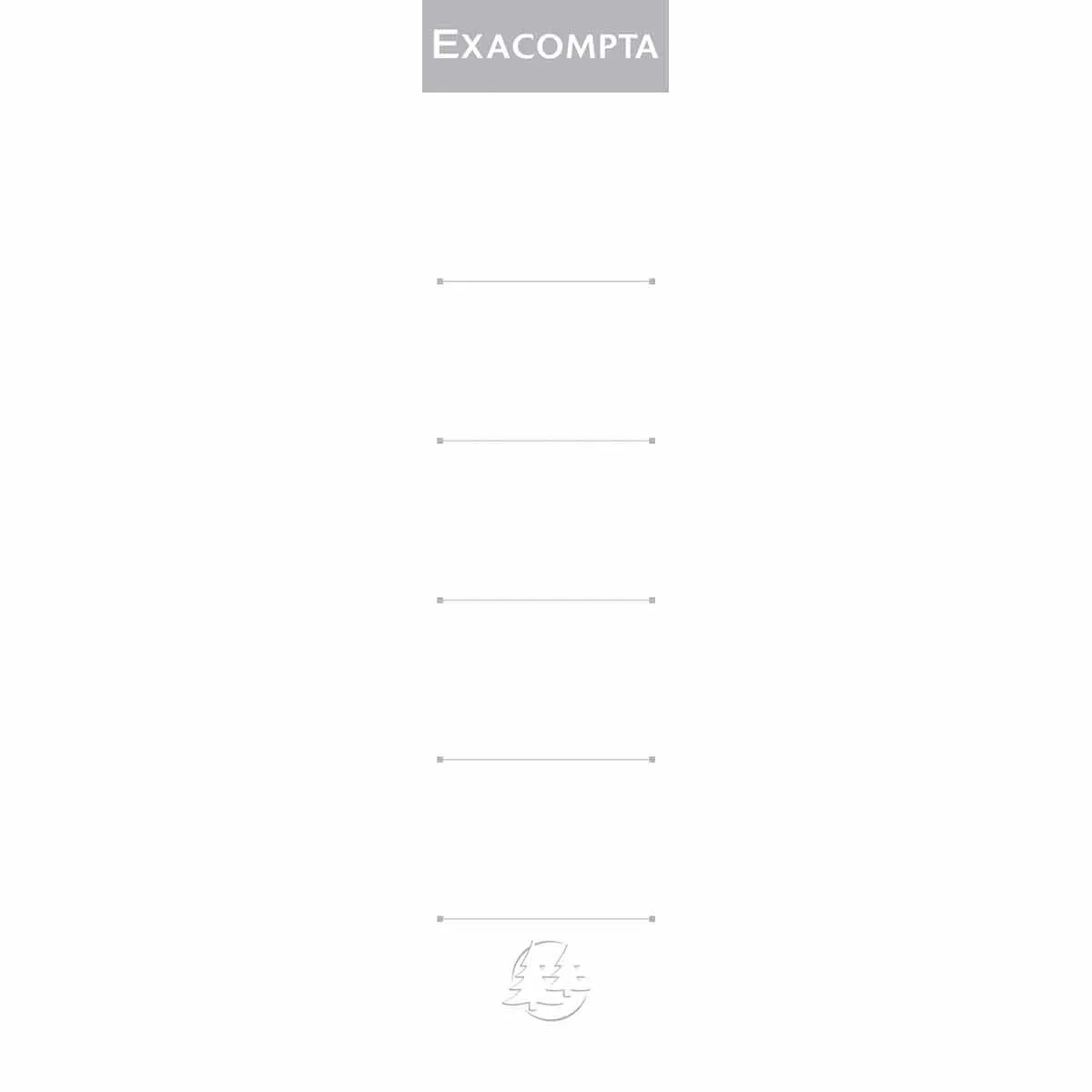 Exacompta Exaclair Exacompta 50mm Spine Labels Pack of 10 | Filing & Folders > Ring Binders > Ring Binders