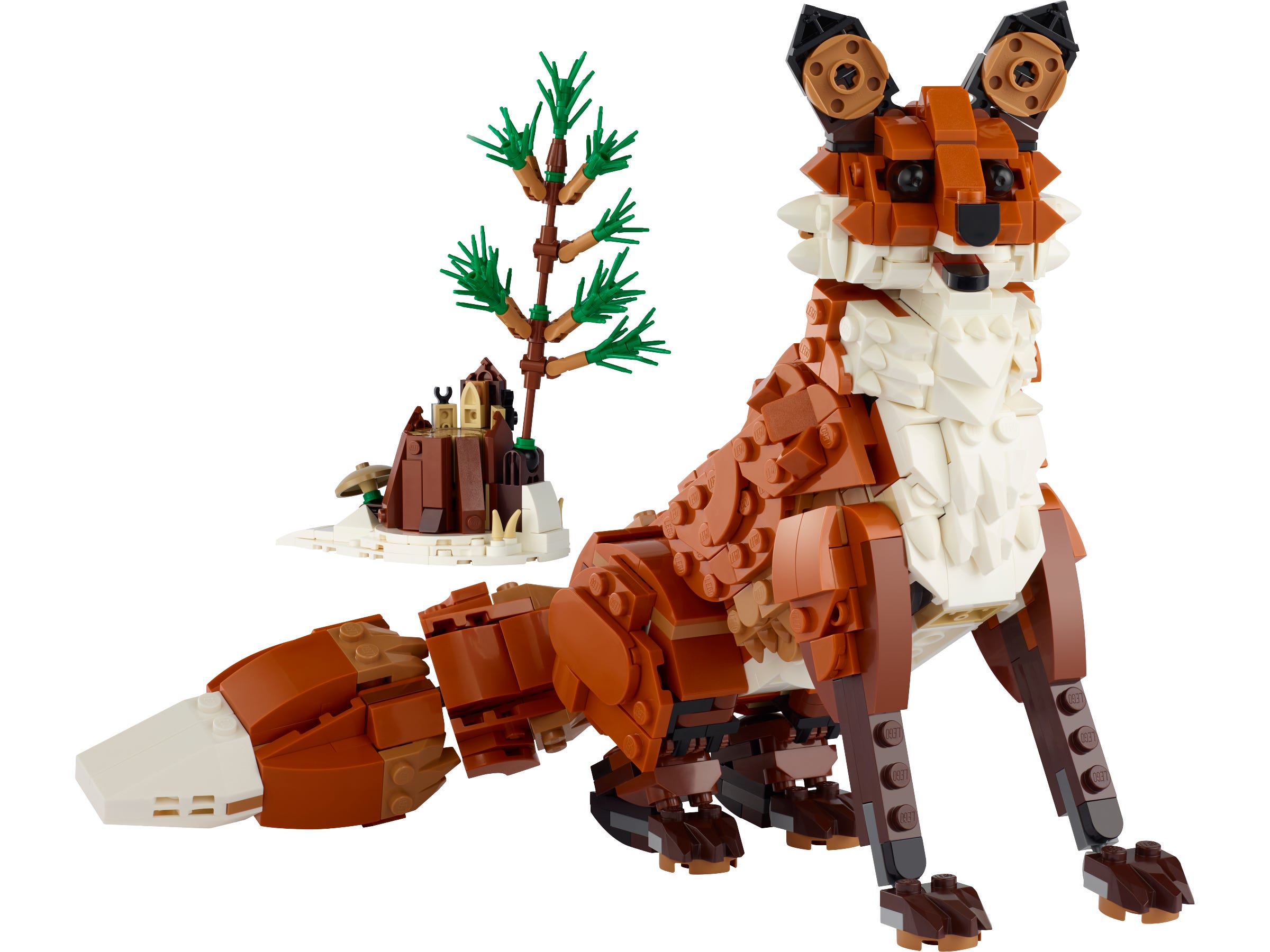 Forest Red Fox