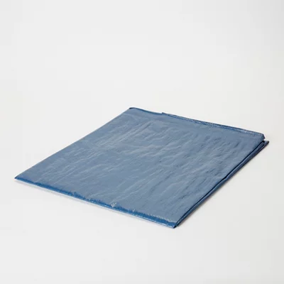 B&Q Blue Tarpaulin, (l)3m (w)2m