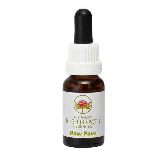 Australian Bush Paw Paw (Stock Bottle) 15ml