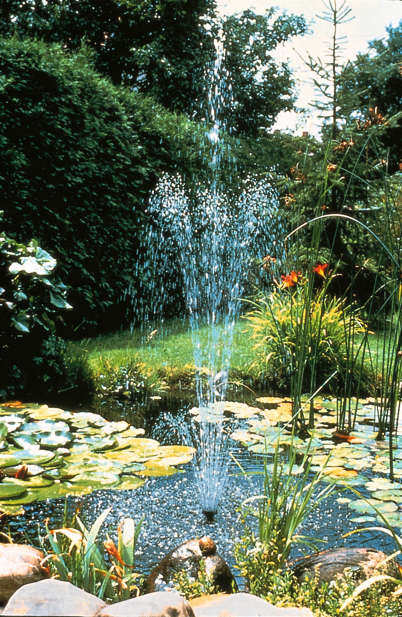 Ubbink House of Vida  Ubbink springvandspumpe Elimax 6000 1351305