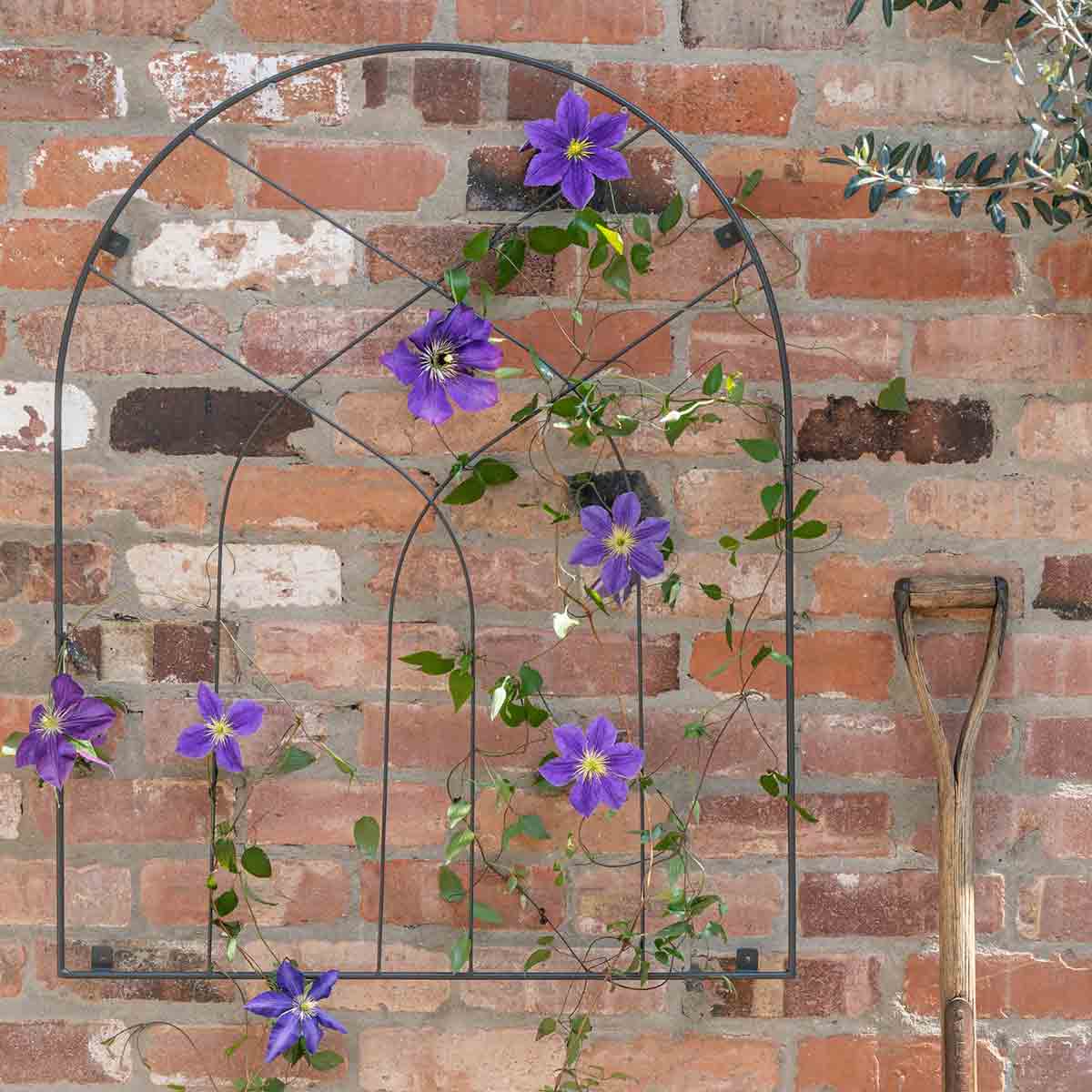  Outdoor Arch Trellis Zinc H100cm W80cm