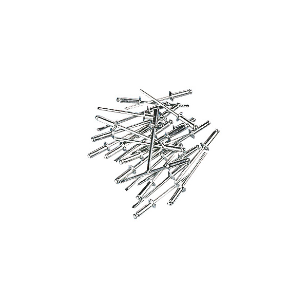 Draper 50 X 4mm X 10mm Blind Rivets 14009