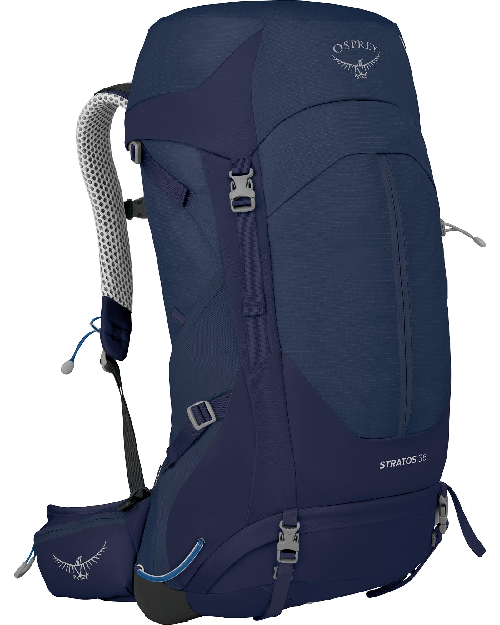 Osprey Stratos 36 / Blue / One Mens