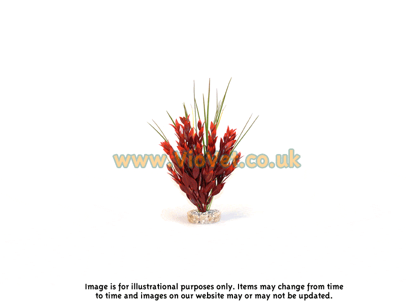 Sydeco Natural Red Ruscus Aquarium Plant - 25cm