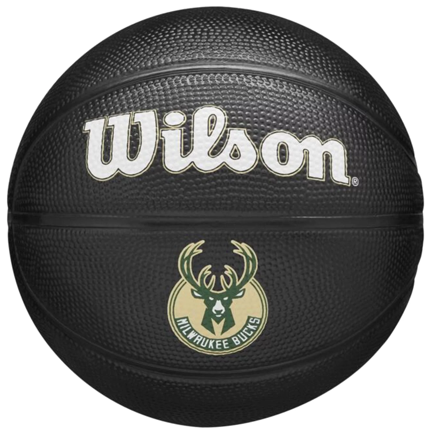 Wilson NBA Team Tribute Mini Basketball