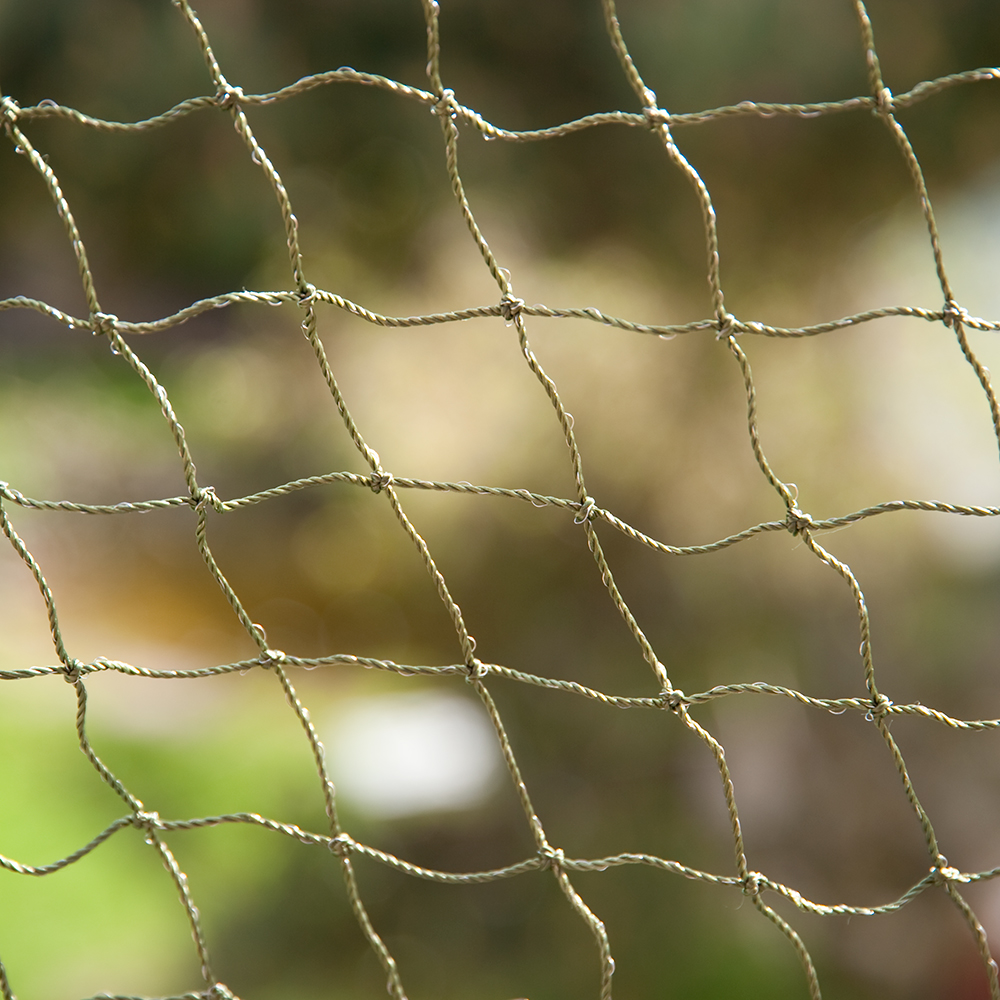 Zooplus Exclusive Cat Safety Net - Bite-Resistant & Wire-Reinforced - 2 x 1.5 m