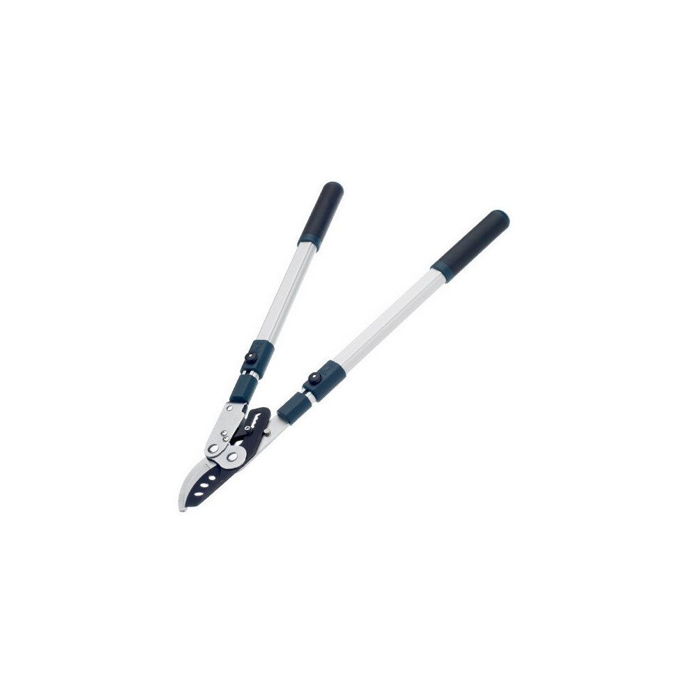 Bulldog BULBD3113TW BD3113TW Evergreen Bypass Lopper - Extending