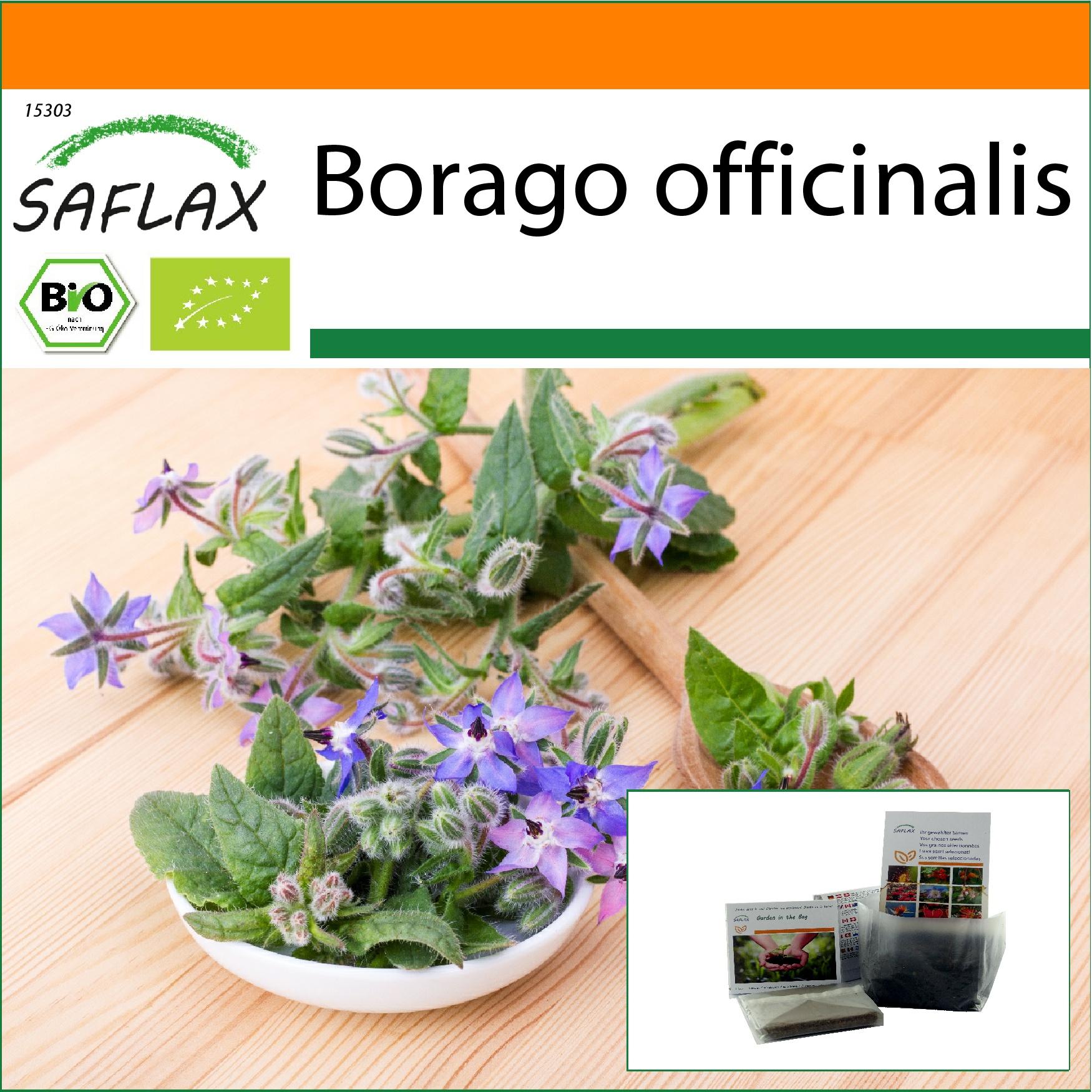 Saflax - Garden in the Bag - Organic - Borage - 40 seeds - With substrate in a fitting stand up bag - Borago officinalis