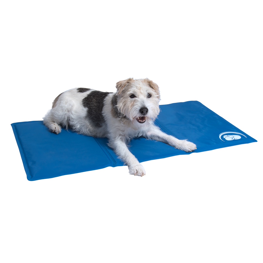 zooplus Exclusive Tappetino rinfrescante Keep Cool per cani e gatti - L 90 x P 50 cm