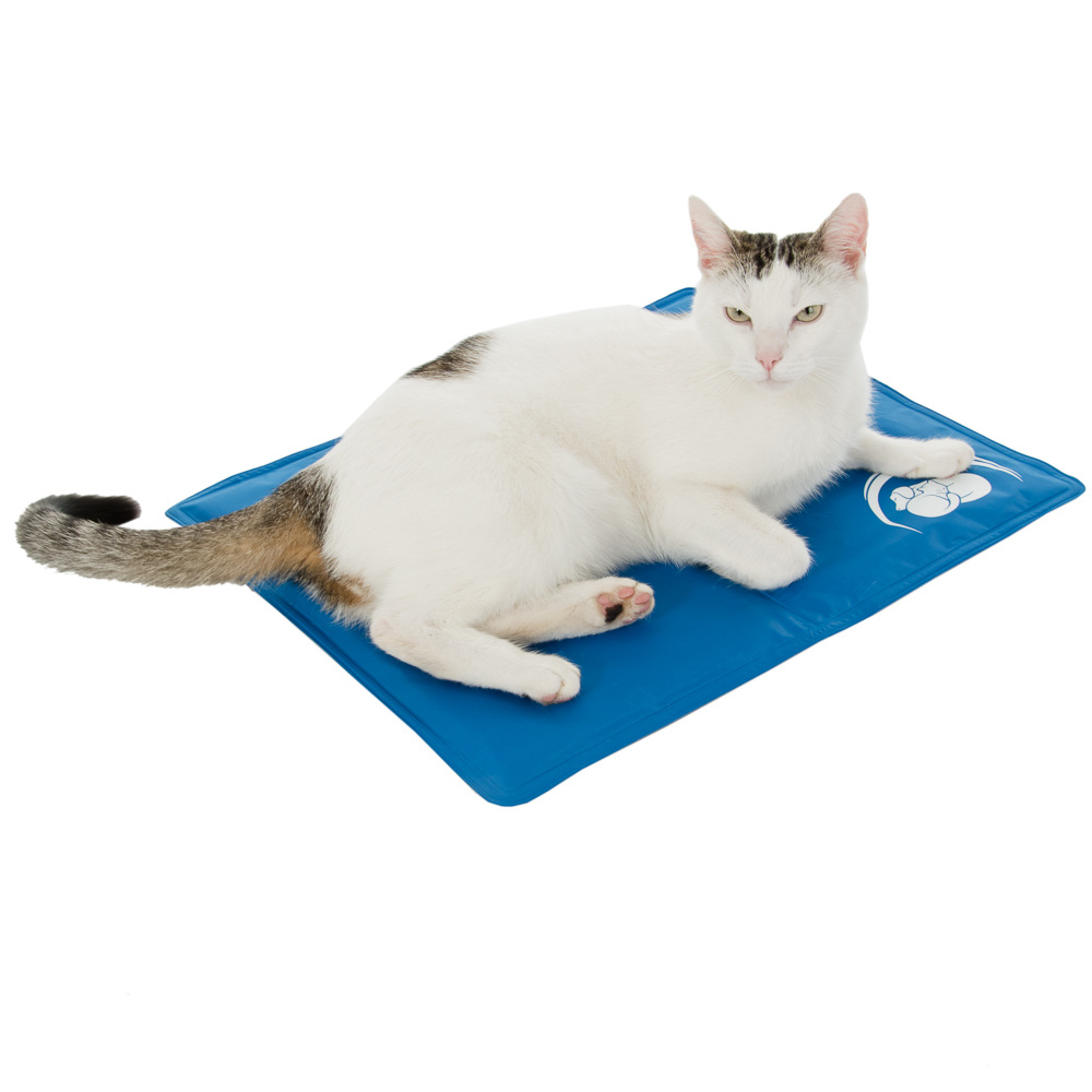 Zooplus Exclusive Keep Cool Mat - Cat & Dog Cooling Mat - 50 x 40cm (L x W)