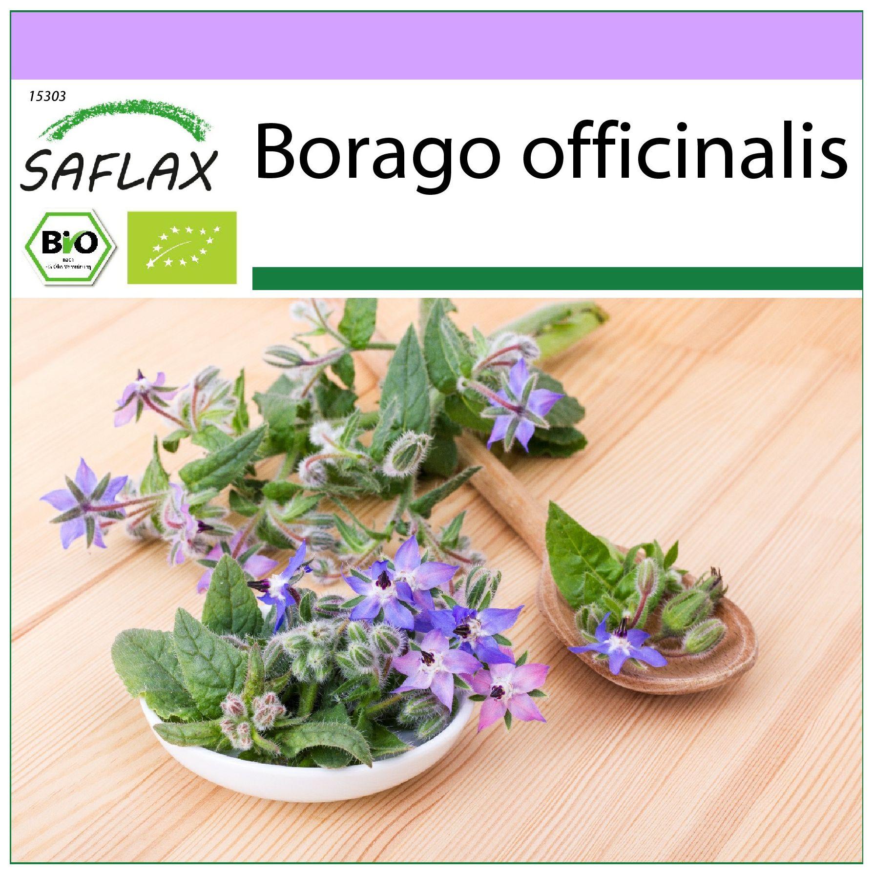 Saflax - Organic - Borage - 40 seeds - Borago officinalis