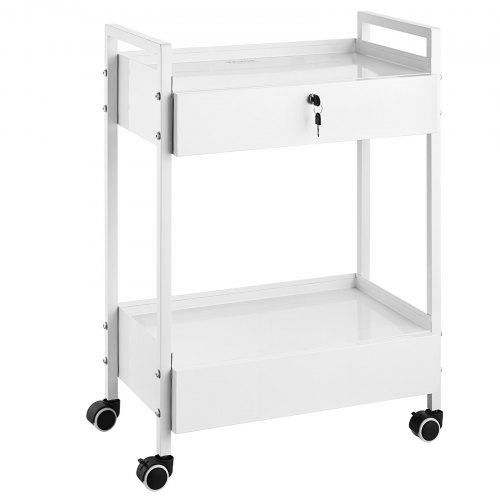  Lab Cart, 2 Tiers Stainless Steel Utility Cart, Medical Cart with 2 Drawers, Rolling Lab Cart White Paint, Serving Cart with Swivel Casters for