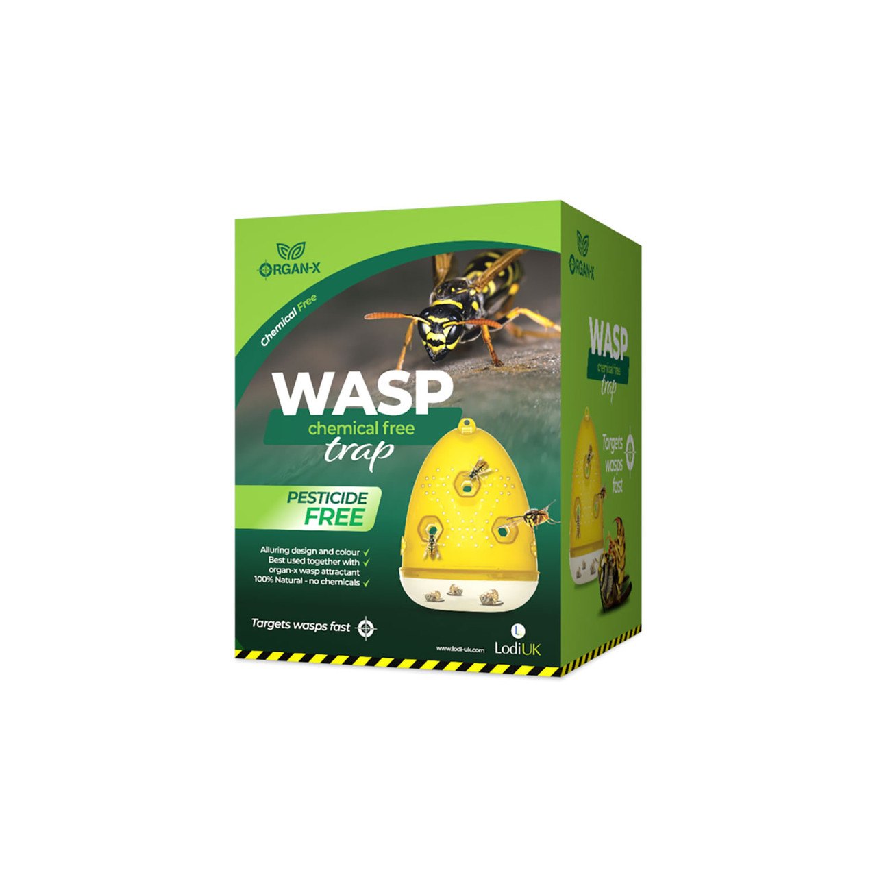 Insecto Wasp Trap