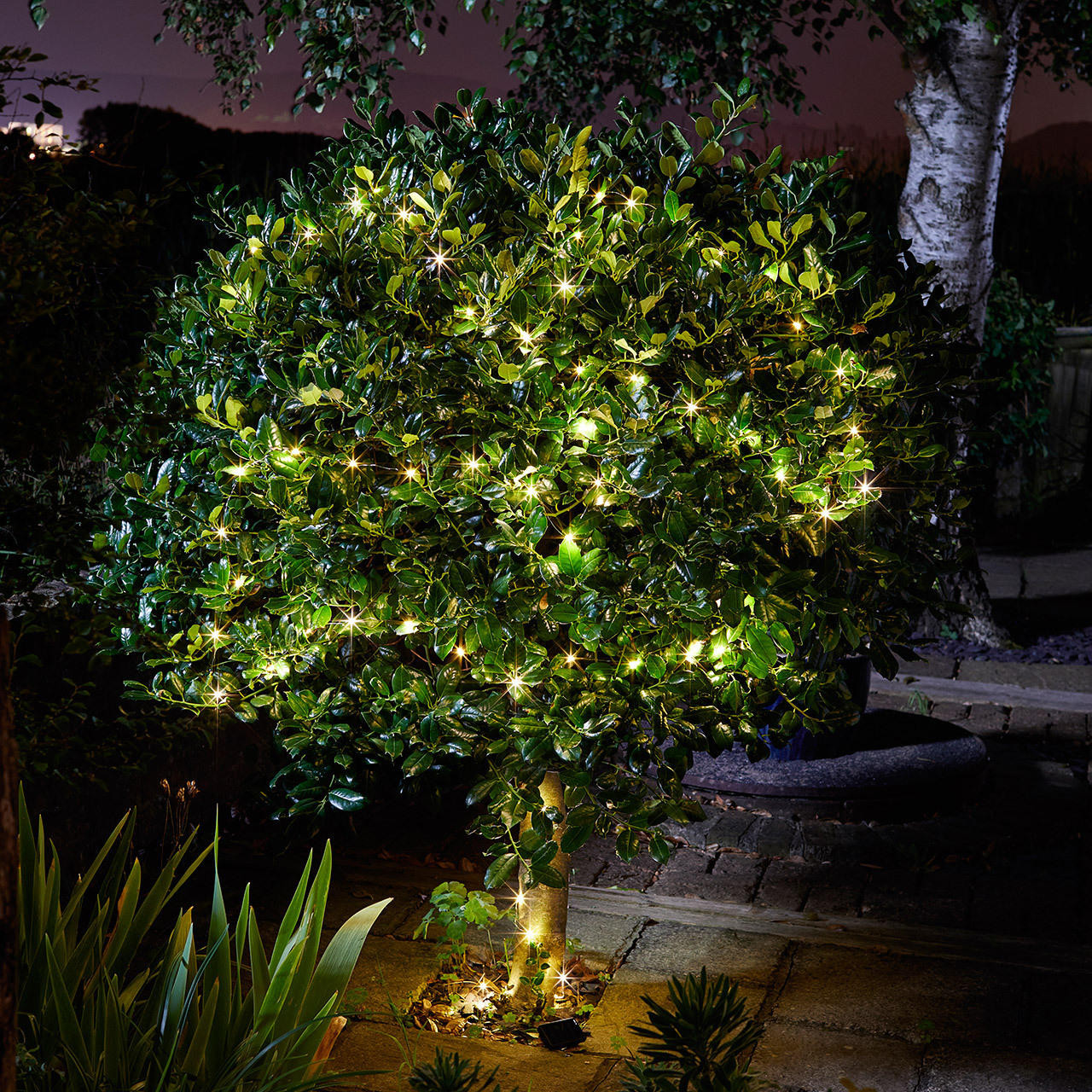 Smart Solar 100 LED Solar Powered Firefly String Lights by Smart Garden