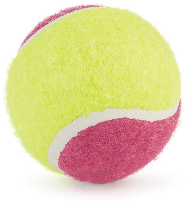 Ancol Assorted Tennis Balls Dog Toys - 10cm