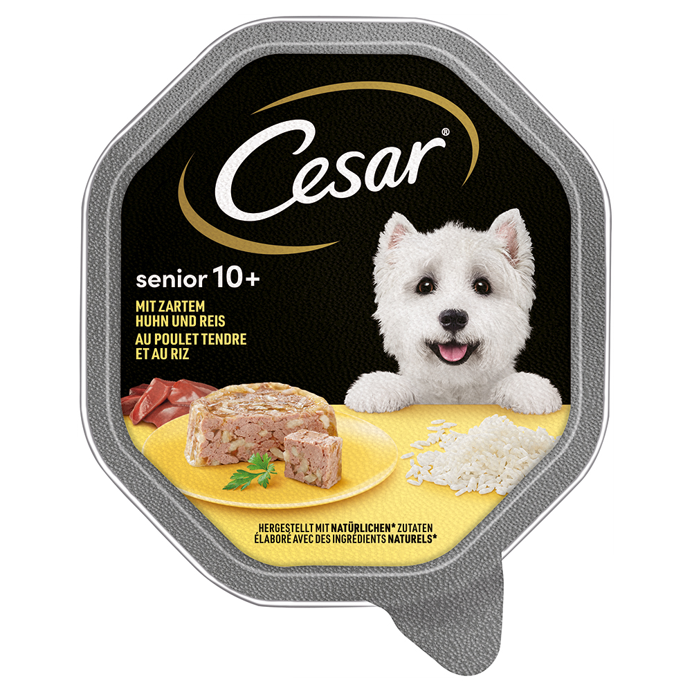 Cesar 14 x 150 gr Comida Húmeda para perros mayores en paté con pollo Cesar Senior 10+