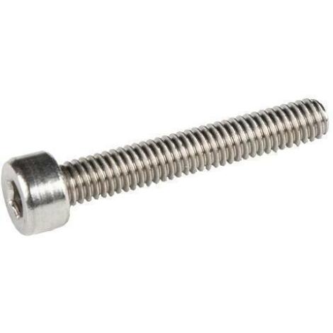 Wolf Tooth B-Screw - Silver / 25mm
