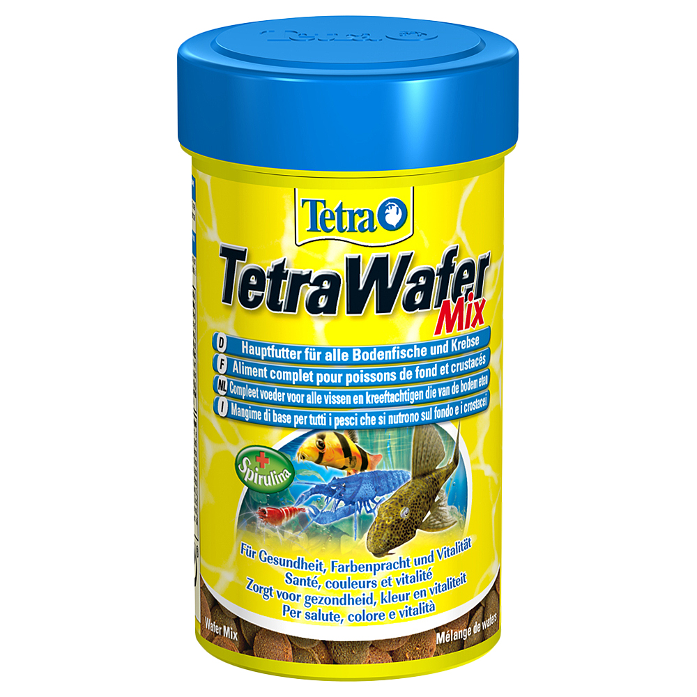 Tetra 