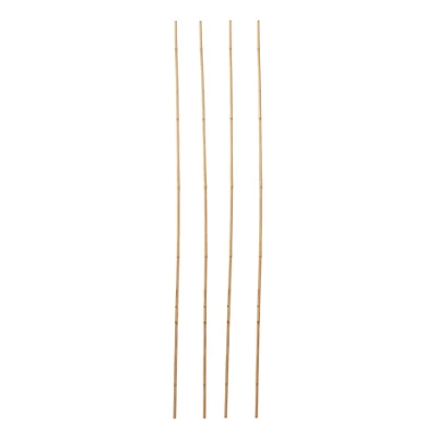 Verve Bamboo Cane 240cm, Pack Of 10