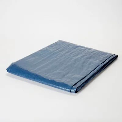 B&Q Blue Tarpaulin, (l)5m (w)4m