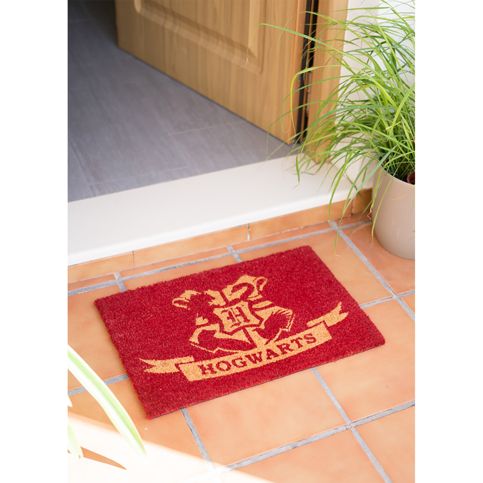 Erik Doormat Harry Potter Hogwarts