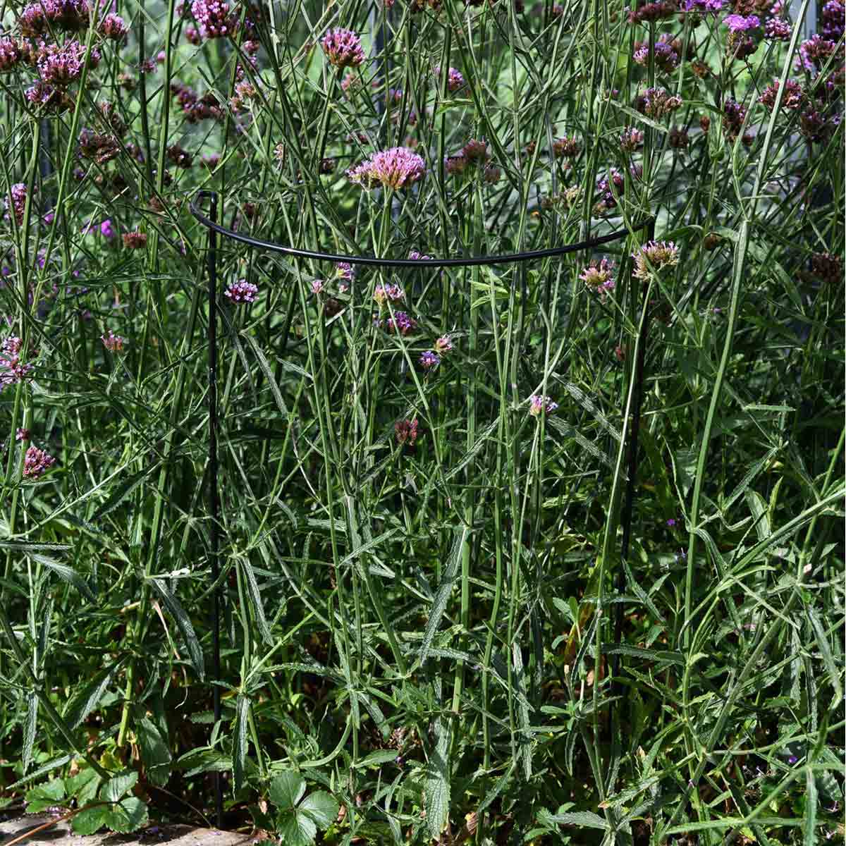 Garden Gear 1 x Half Round Plant Support H72cm