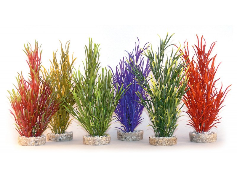 Sydeco Coloured Sea Grass Aquarium Plant - Medium - 25cm