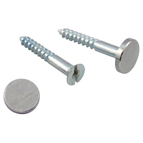 DIY Direct Mirror Screws, Zinc Plated 38mm & 20mm Diameter Satin Chrome Flat Caps (10 Pack)