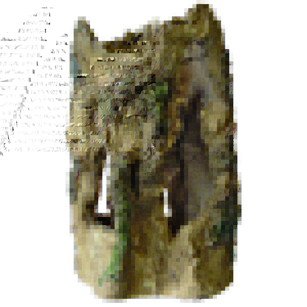 Superfish Tree Home Aquarium Ornament