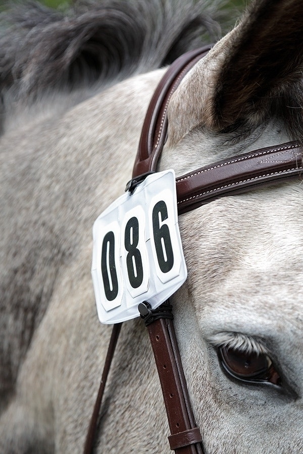 Shires Equestrian Accessories | Shires Competition Number Kit Colour White