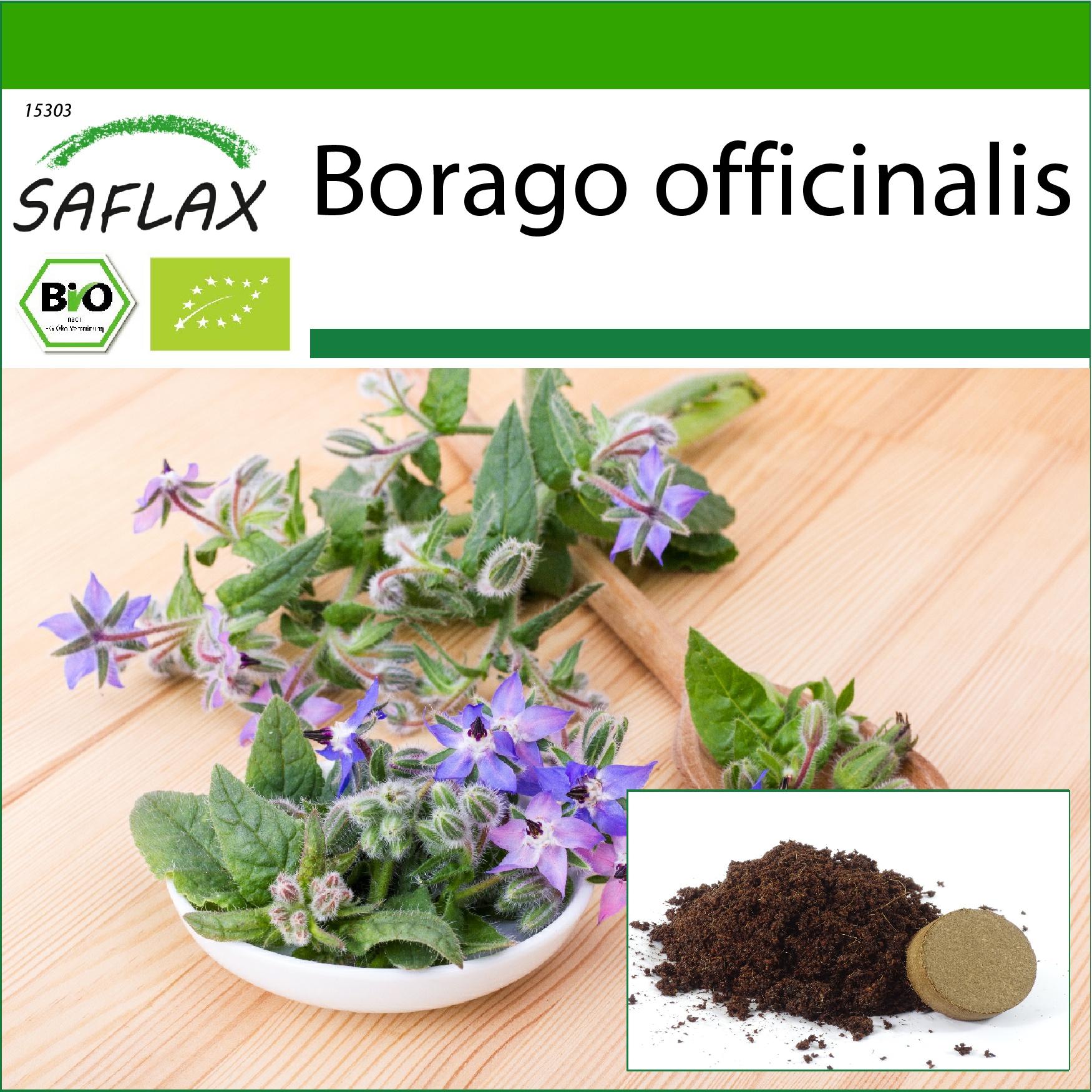 Saflax - Organic - Borage - 40 seeds - With potting substrate for better cultivation - Borago officinalis