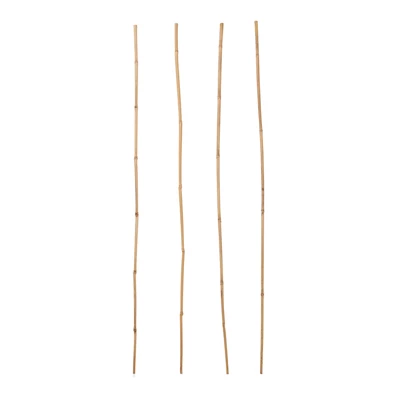 Verve Bamboo Cane 90cm, Pack Of 15