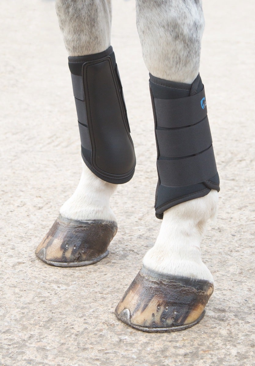 Shires Equestrian Arma ARMA Neoprene Brushing Boot