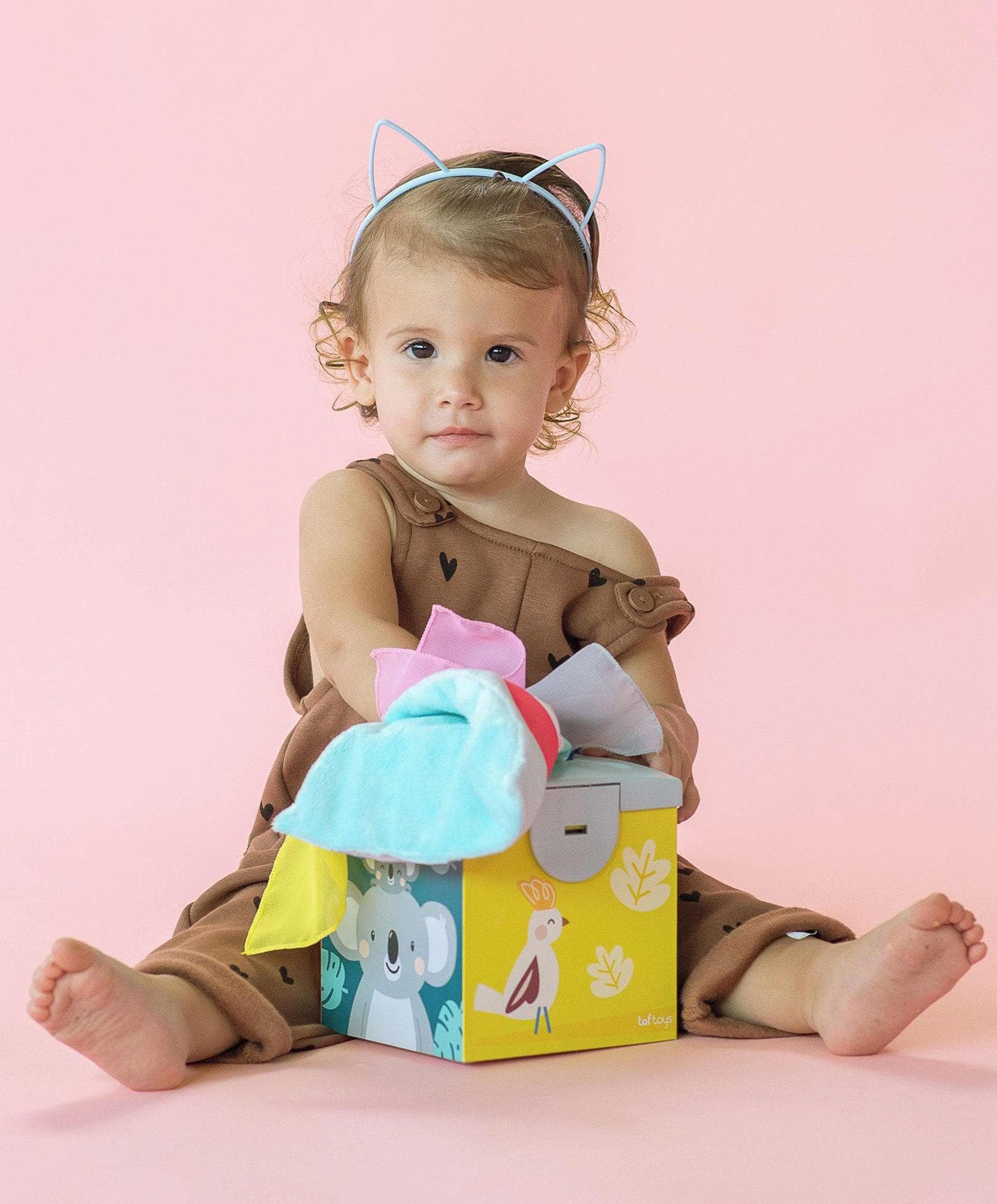 Taf Toys - Koala Tissue Wonder Box