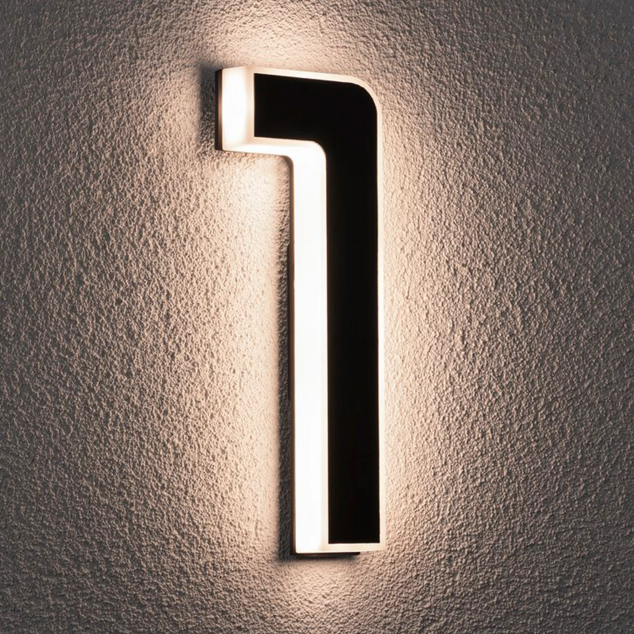 Paulmann Black Solar Powered Integrated LED Outdoor Flush Mount black,white