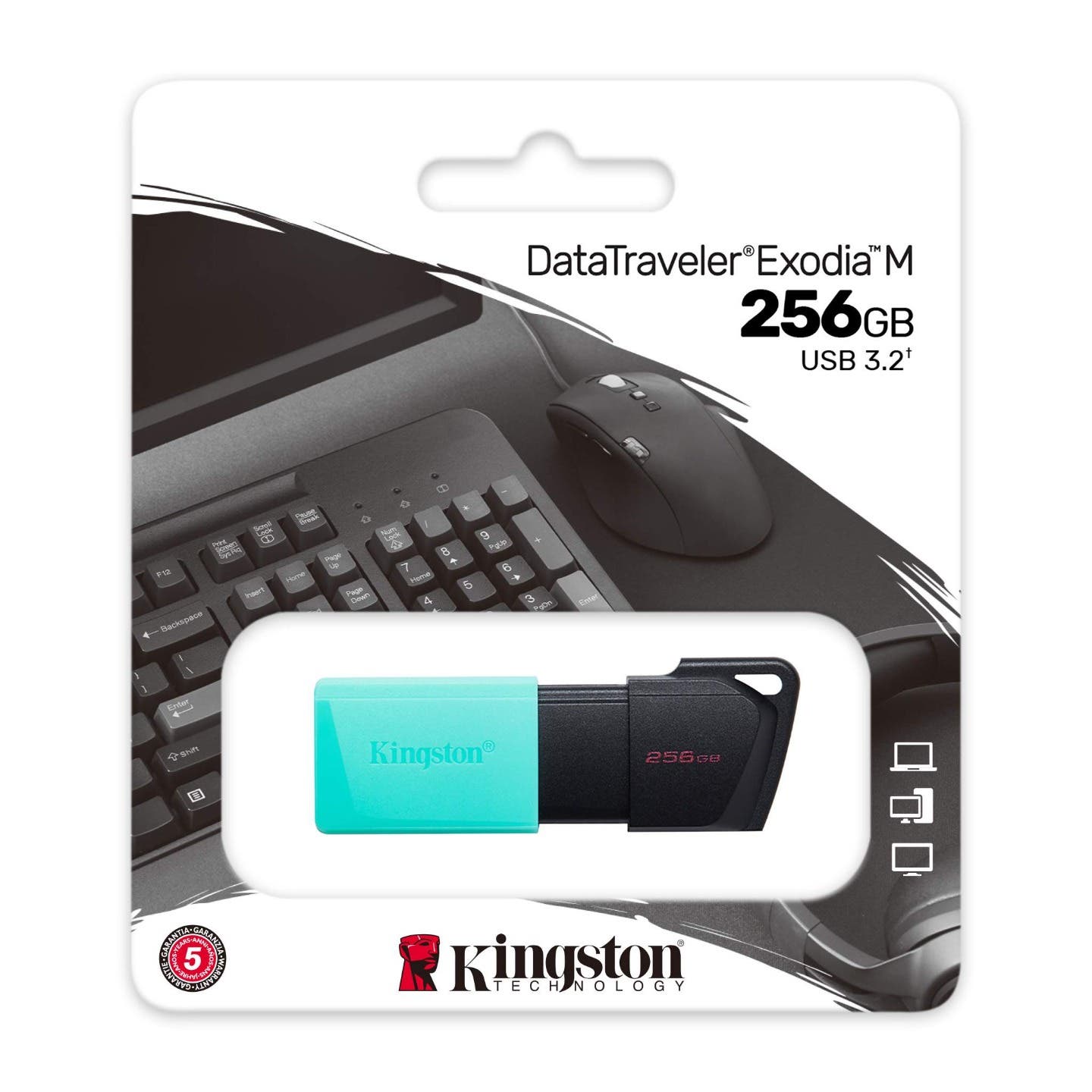 Kingston DataTraveler Exodia M 256GB USB Flash Drive