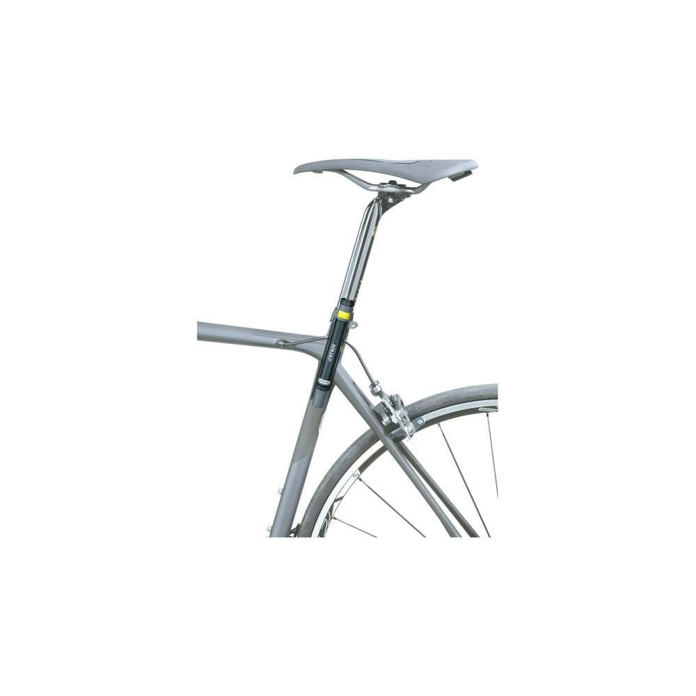 Topeak Pumps - Ninja P