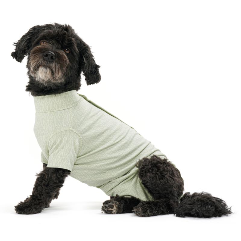 Kruuse Buster Body Suit for Dogs Dusty Green - Extra Small