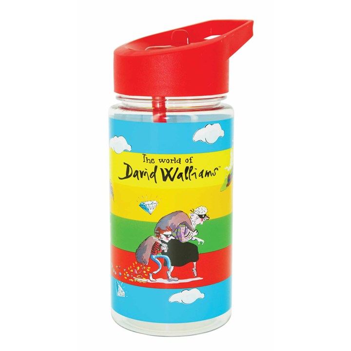 The World of David Walliams Water Bottle, 500ml